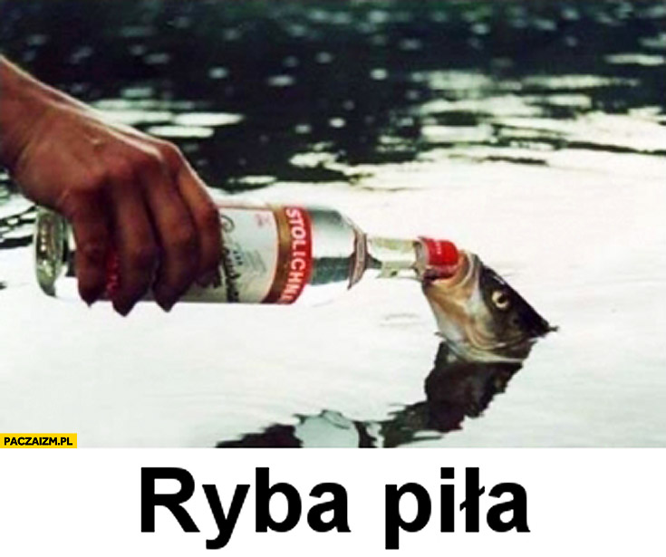 ryba-pila-wodka.jpg