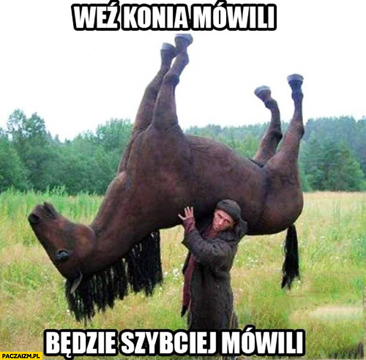 Weź konia mówili będzie szybciej mówili - Paczaizm.pl