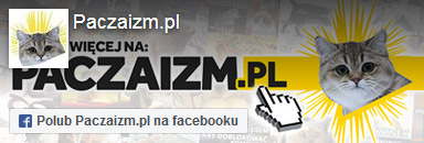 Paczaizm.pl na facebooku
