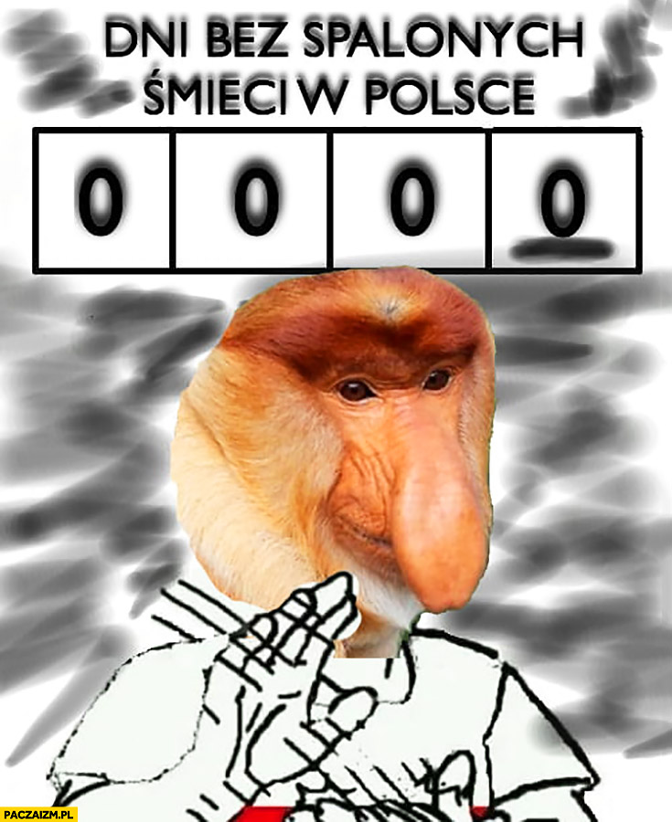 0 dni bez spalonych śmieci w Polsce bije brawo typowy Polak nosacz małpa