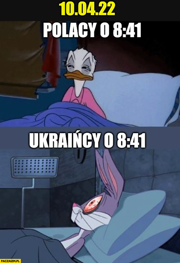 10 kwietnia 2022 Polacy o 8:41 zaspani wkurzeni vs Ukraińcy przerażeni kaczor donald królik bugs