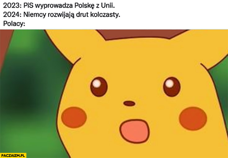 2023: PiS wyprowadza Polskę z unii, 2024: Niemcy rozwijają drut kolczasty, Polacy zdziwieni pikachu