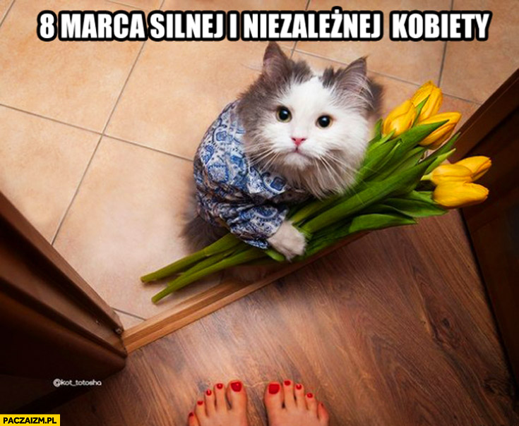 8 marca silnej i niezależnej kobiety kot z kwiatami