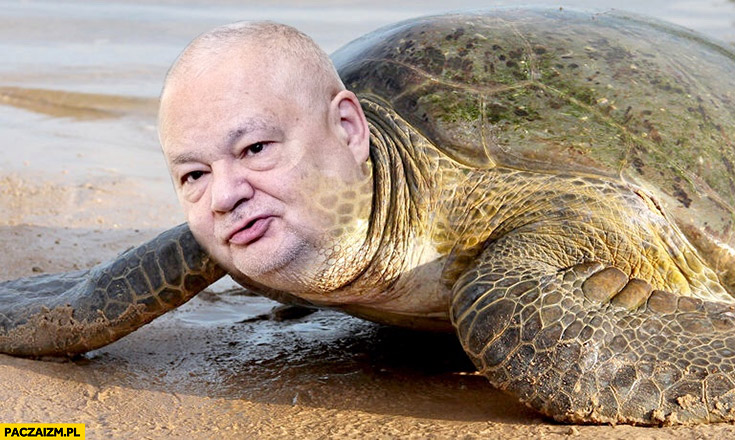 Adam Glapiński żółw przeróbka photoshop