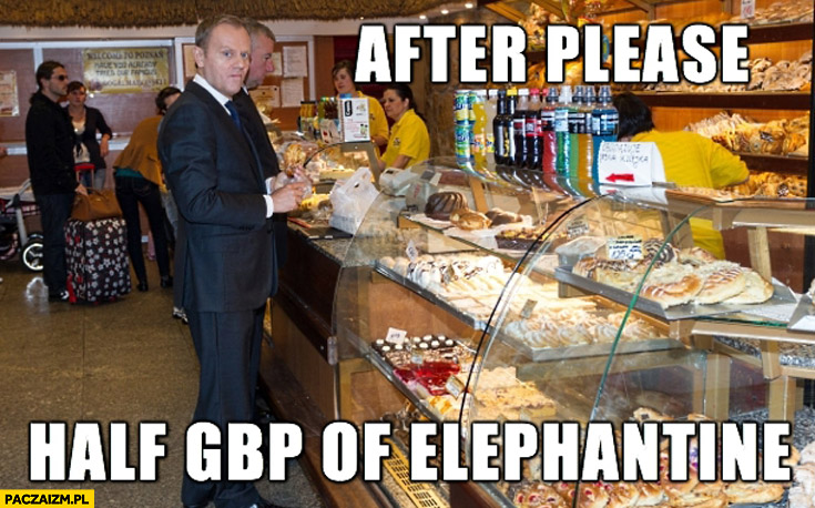 After please half GBP of elephantine Tusk angielski