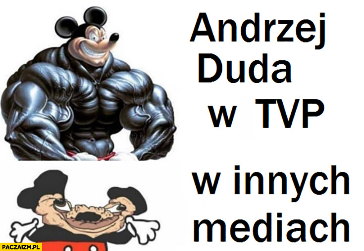 Andrzej Duda w TVP vs w innych mediach myszka miki