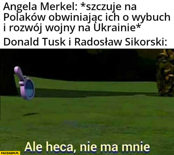 Angela Merkel szczuje na Polaków obwiniając ich o wojnę na Ukrainie, Tusk i Sikorski reakcja ale heca nie ma mnie