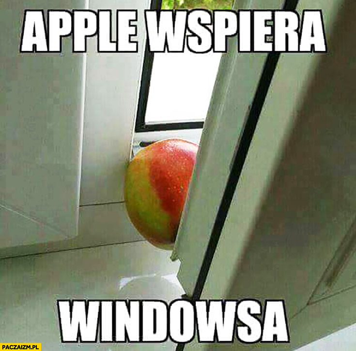Apple wspiera Windowsa jabłko w oknie