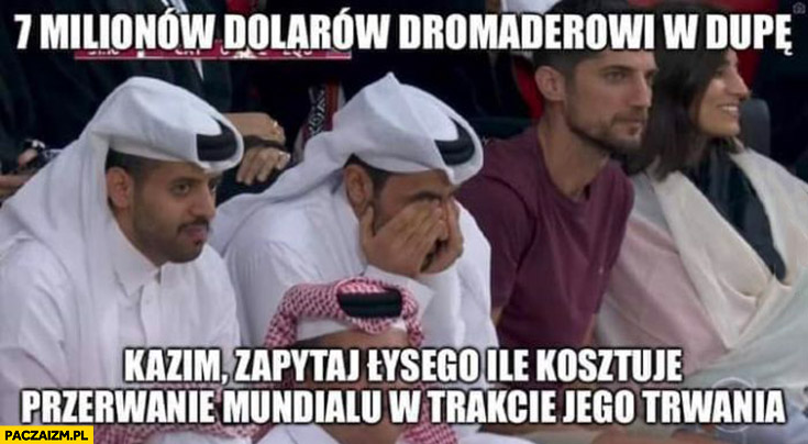 Arab na meczu 7 milionów dolarów dromaderowi w tyłek zapytaj łysego ile kosztuje przerwanie mundialu w trakcie jego trwania Katar