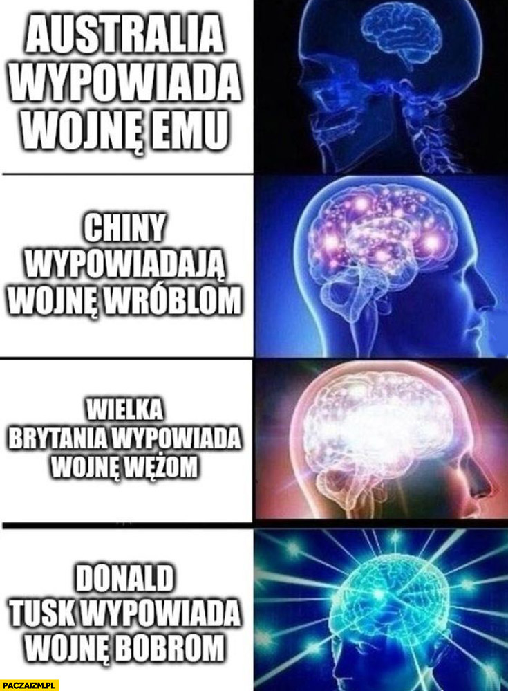 Australia wypowiada wojnę emu, Chiny wróblom, Wielka Brytania wężom, Donald Tusk wypowiada wojnę bobrom mózg mózgi