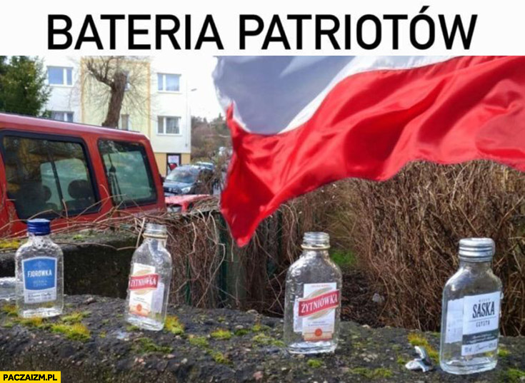 Bateria patriotów małpki polska flaga