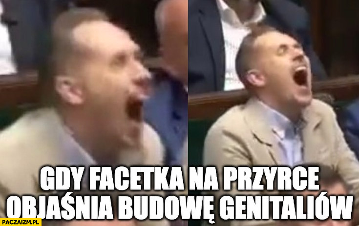 Berkowicz gdy facetka na przyrce objaśnia budowę genitaliów śmieje się