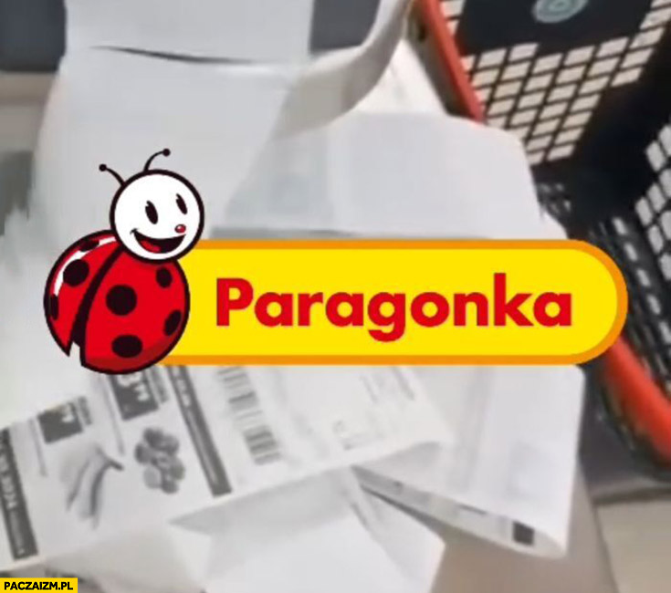 Biedronka paragonka nowe logo długie paragony