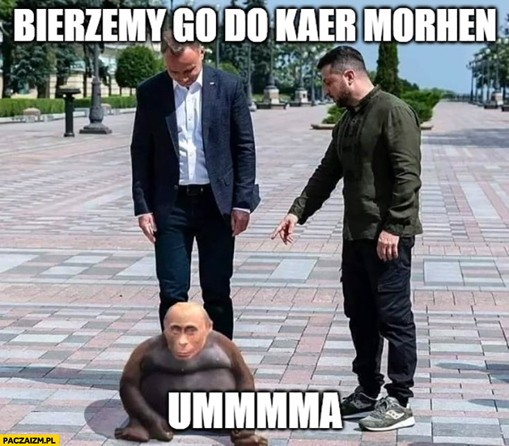 Bierzemy go do Kaer Morhen Putin małpa szympans Duda Zełenski
