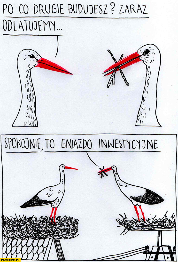 Bociany: po co drugie gniazdo budujesz? Zaraz odlatujemy… Spokojnie to gniazdo inwestycyjne