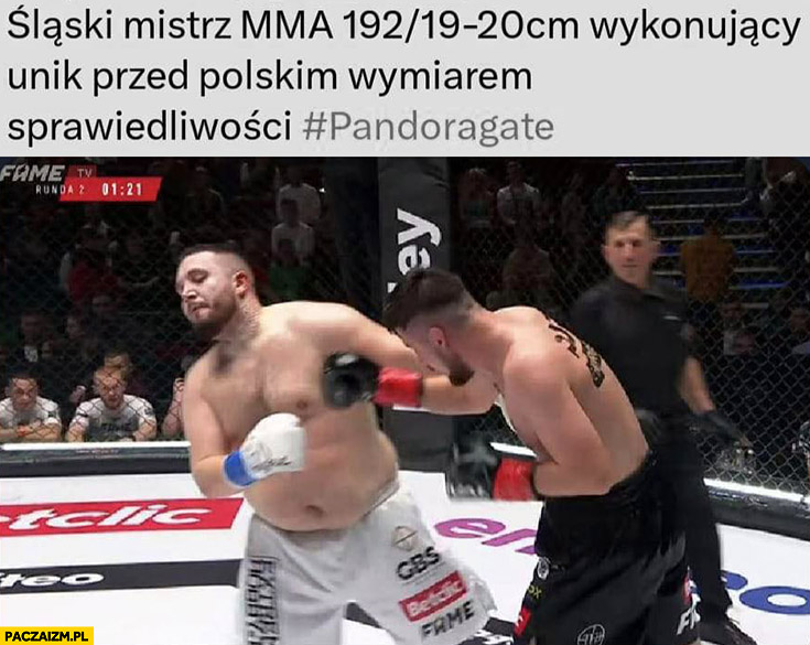 Boxdel śląski mistrz MMA 192 cm, 19-20 cm długości wykonujący unik przed polskim wymiarem sprawiedliwości pandora gate