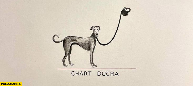 Chart ducha dosłownie pies którego panem jest duch hart
