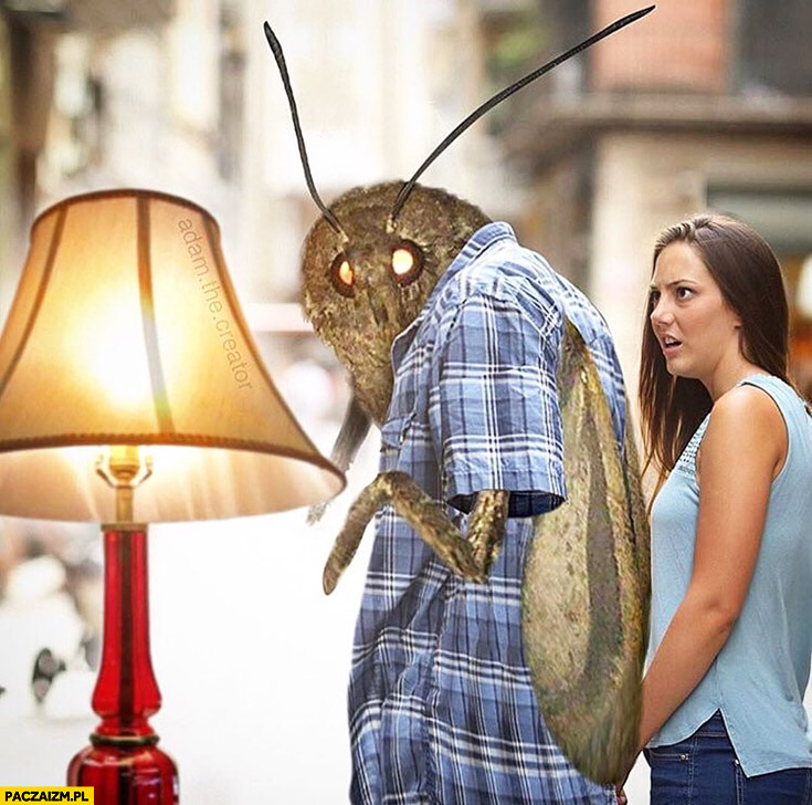 Ćma woli lampę od dziewczyny przeróbka mema