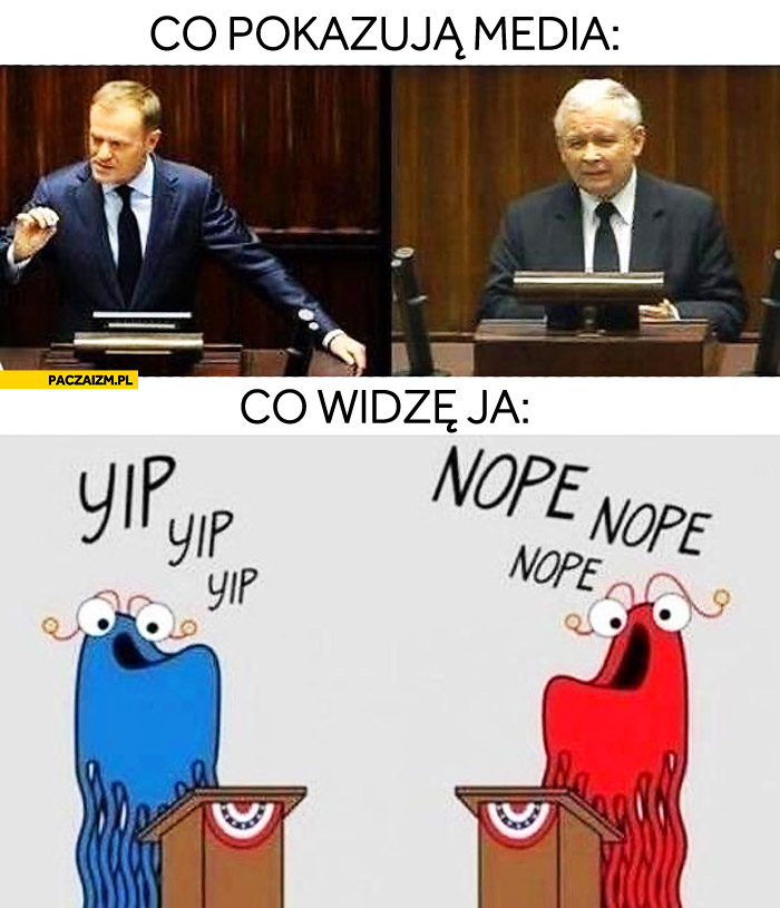 Co pokazują media co widzę ja politycy Tusk Kaczyński