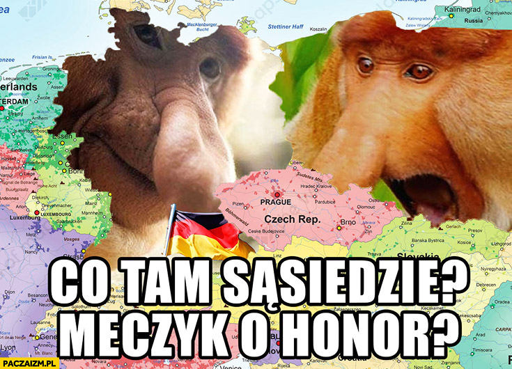 Co tam sąsiedzie, meczyk o honor? Niemcy Polska mundial mistrzostwa świata typowy Polak nosacz małpa