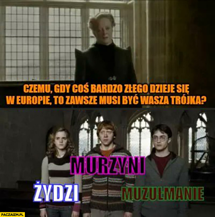 Czemu gdy coś bardzo złego dzieje się w Europie to zawsze musi być wasza trójka Żydzi Murzyni Muzułmanie Harry Potter