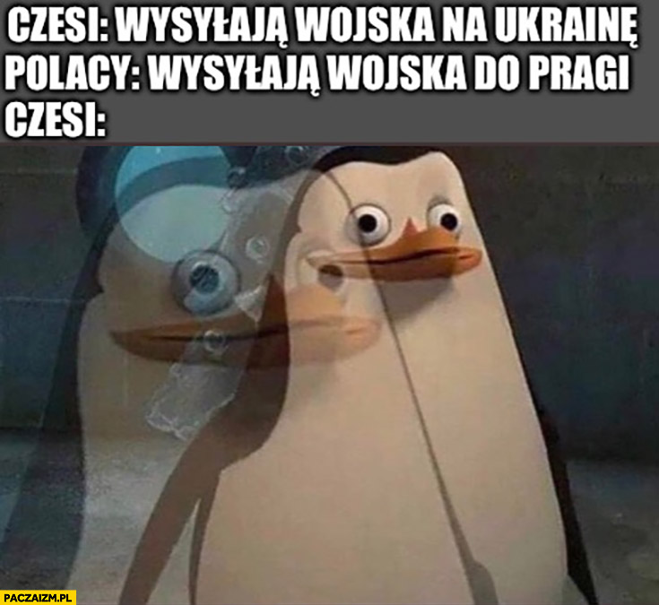 Czesi wysyłają wojska na Ukrainę, Polacy wysyłają wojska do Pragi, Czesi zdziwiony pingwin