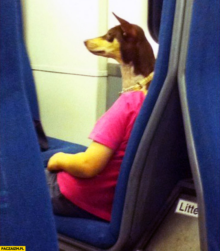 Człowiek z głową psa w pociągu