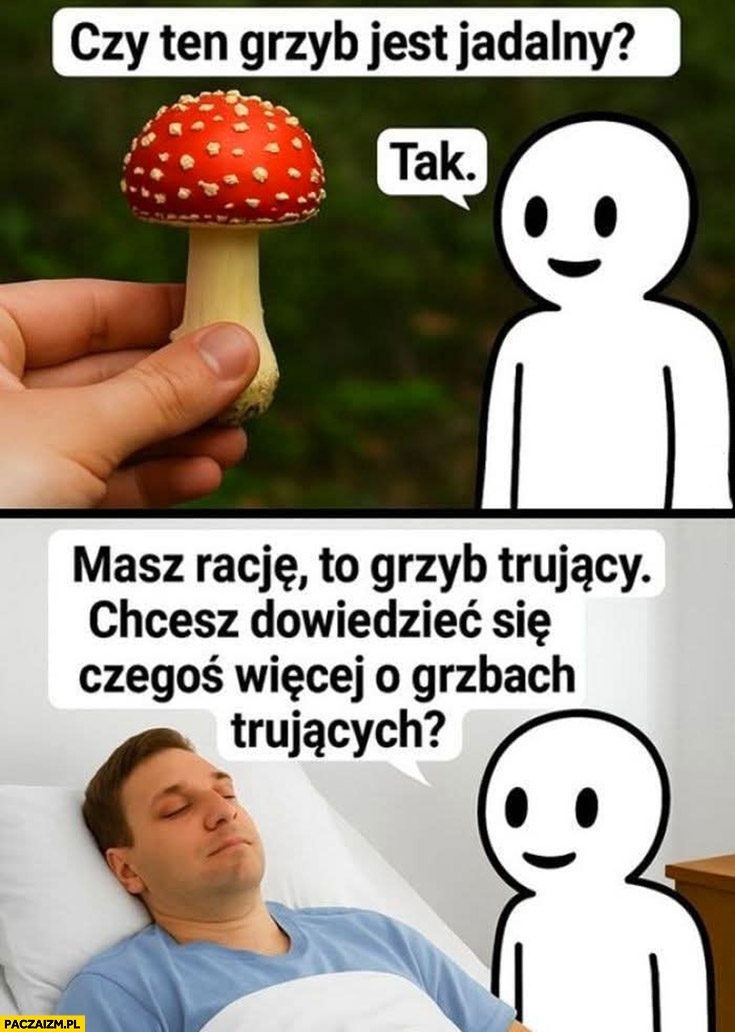 Czy ten grzyb jest jadalny? AI Chat GPT: tak masz rację, to grzyb trujący, chcesz dowiedzieć się czegoś więcej o grzybach trujących?