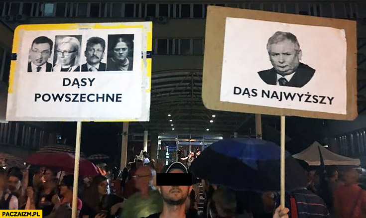 Dąsy powszechne, dąs najwyższy Kaczyński sąd sądy transparent na proteście demonstracji manifestacji