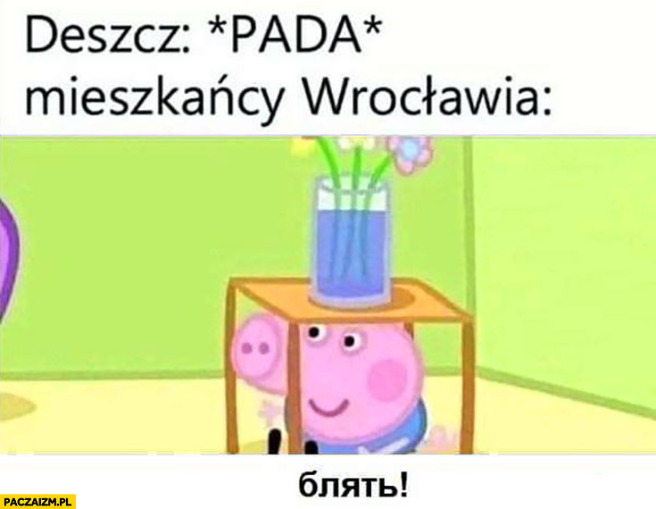 Deszcz: pada, mieszkańcy Wrocławia po ukraińsku