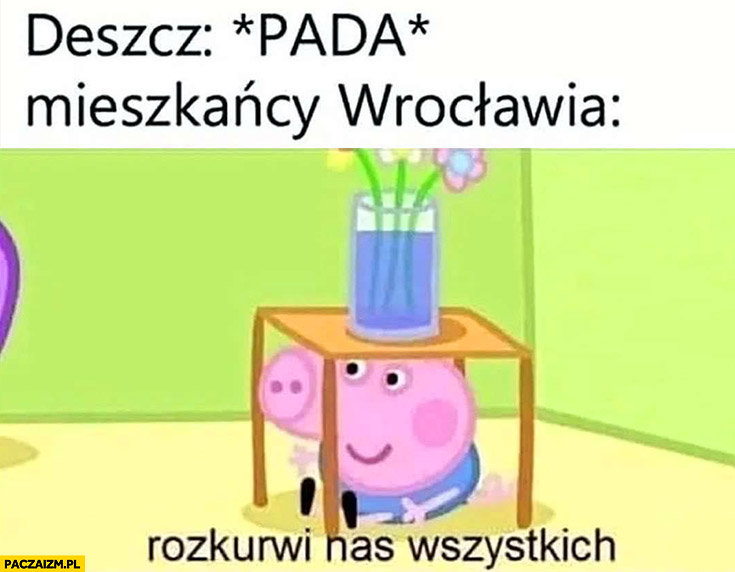 Deszcz pada mieszkańcy Wrocławia rozkurni nas wszystkich świnka Pepa