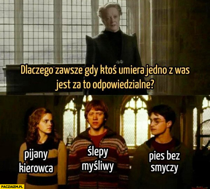 Dlaczego zawsze gdy ktoś umiera jedno z was jest za to odpowiedzialne pijany kierowca, ślepy myśliwy, pies bez smyczy