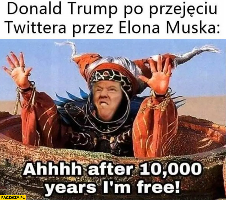 Donald Trump po przejęciu twittera przez Elona Muska w końcu jestem wolny