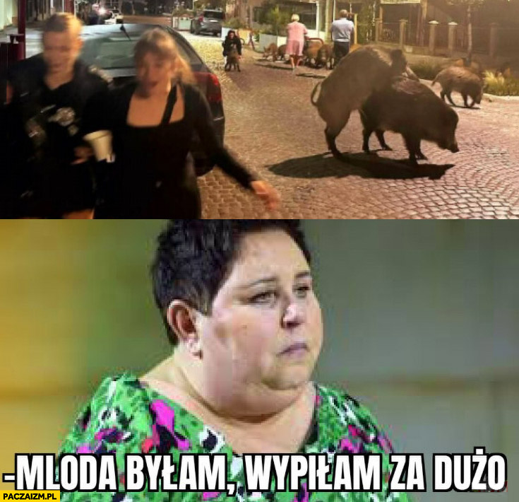 Dorota Wellman dzik młoda byłam wypiłam dużo