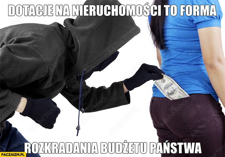 Dotacje na nieruchomości to forma rozkradania budżetu państwa