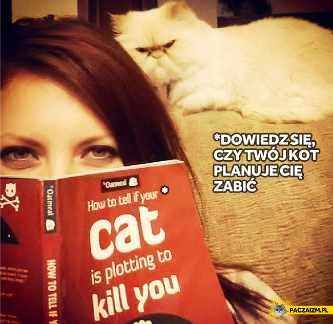 Dowiedz się czy Twój kot planuje Cię zabić
