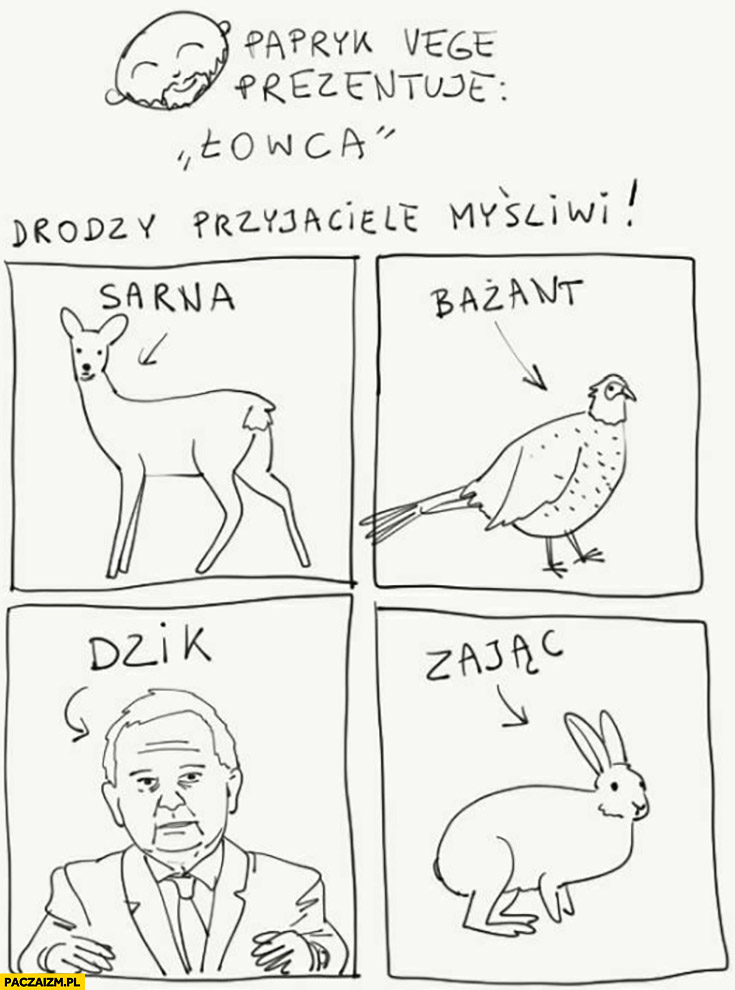 Drodzy przyjaciele tak wygląda sarna, bażant, dzik Kaczyński, zając papryk vege