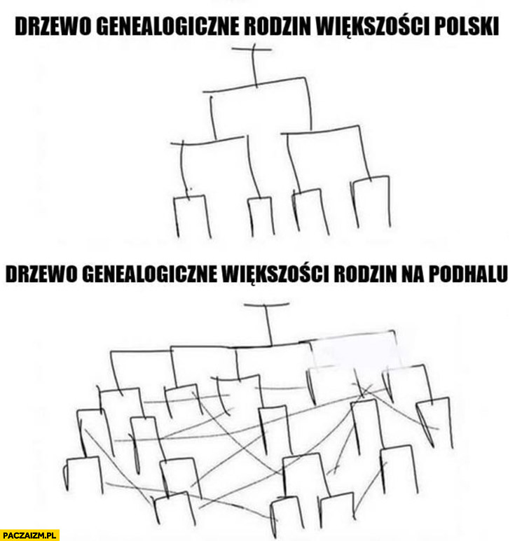 Drzewo genealogiczne rodzin większości polski vs drzewo genealogiczne większości rodzin na Podhalu