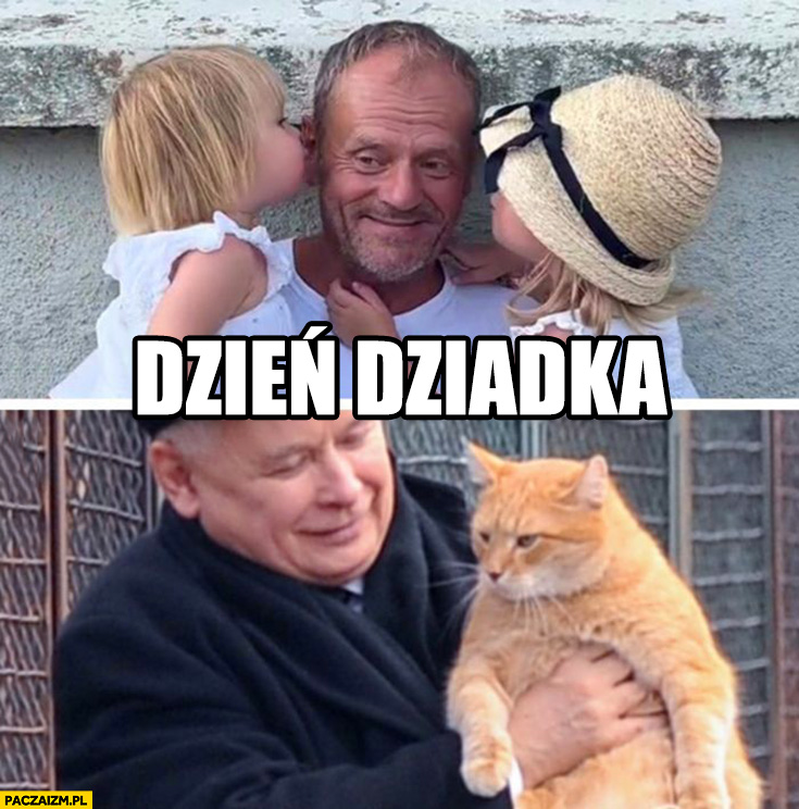 Dzień dziadka u Tuska vs Kaczyńskiego porównanie z wnukami z kotem