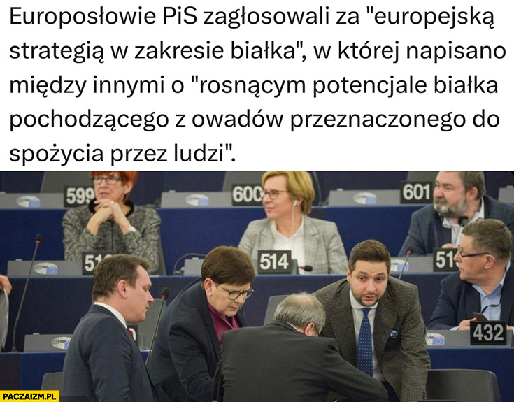 Europosłowie PiS zagłosowali w europarlamencie za jedzeniem owadów insektów