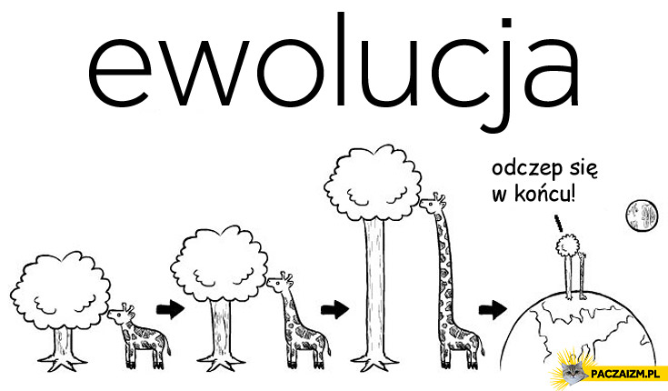 Ewolucja drzewo żyrafa odczep się w końcu