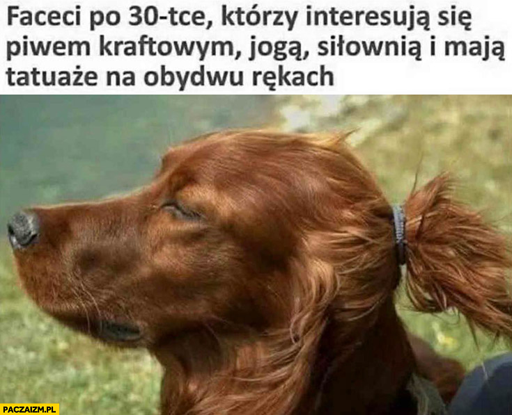 Faceci po 30tce którzy interesują się piwem kraftowym, jogą, siłownią, mają tatuaże na obydwu rekach pies seter irlandzki spięte włosy koczek kok