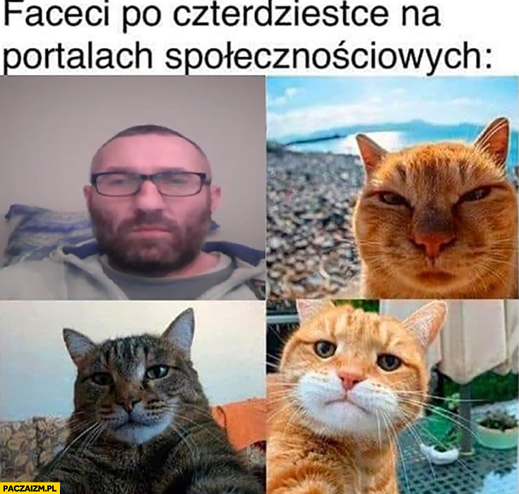Faceci po czterdziestce na portalach społecznościowych kot koty smutne twarze
