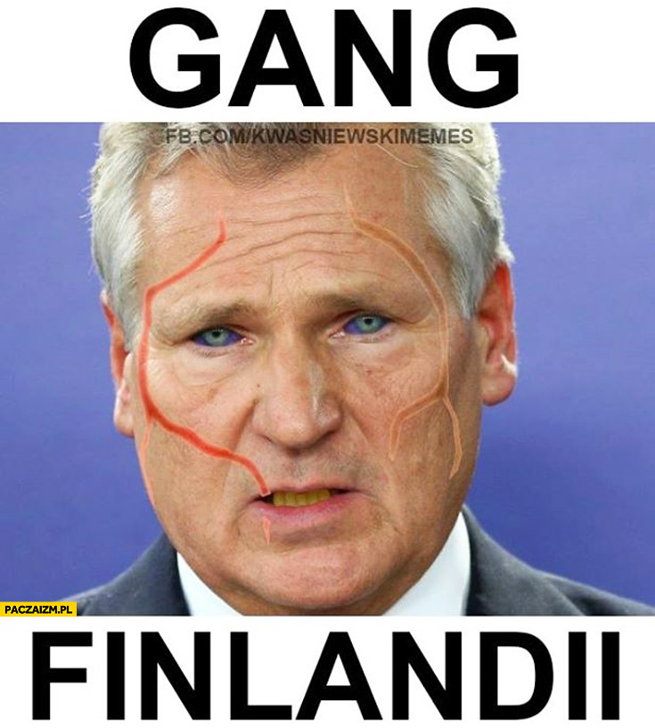 Gang Finlandii Kwaśniewski Gang Albanii