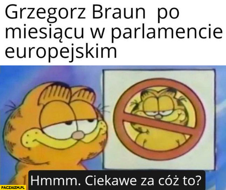 Garfield Grzegorz Braun po miesiącu w parlamencie europejskim zakaz wstępu ciekawe za cóż to