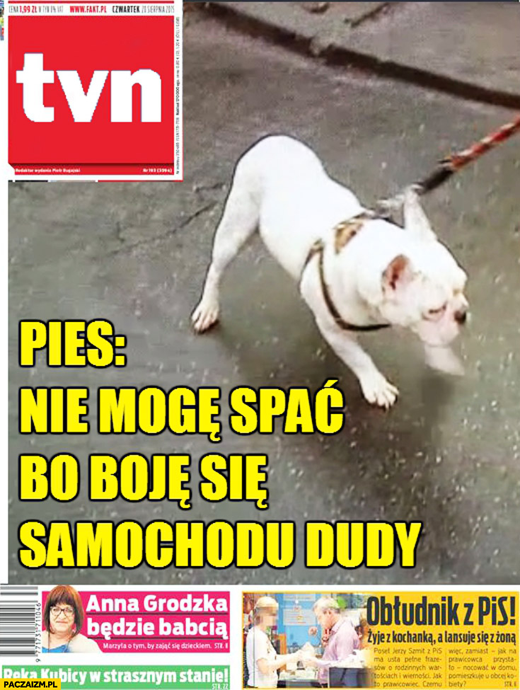 Gazeta TVN pies: nie mogę spać bo boję się samochodu Dudy