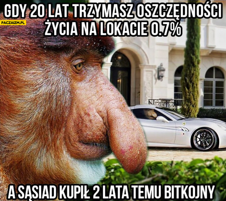 Gdy 20 lat trzymasz oszczędności życia na lokacie 0,7% procent a sąsiad kupił 2 lata temu bitkojny typowy Polak nosacz małpa