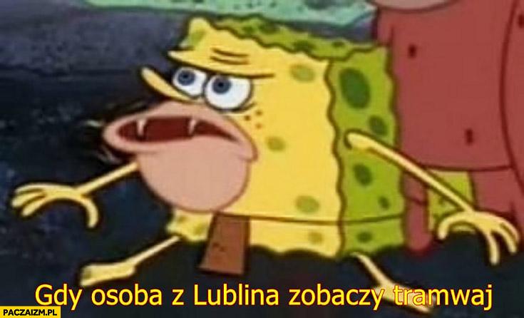 Gdy osoba z Lublina zobaczy tramwaj Spongebob