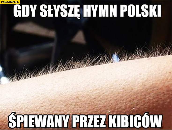 Gdy słyszę hymn polski śpiewany przez kibiców gęsia skórka