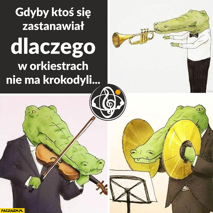 Gdyby ktoś się zastanawiał dlaczego w orkiestrach nie ma krokodyli